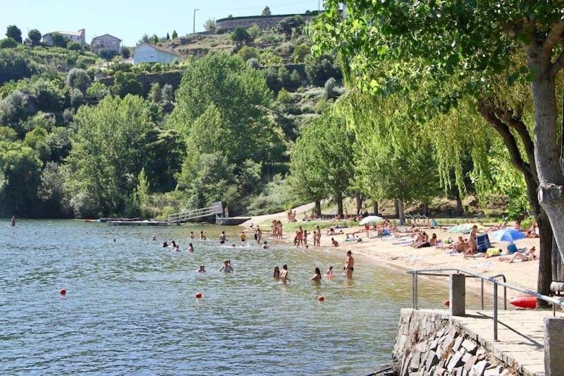 Quinta De Catapeixe Douro River Magrelos エクステリア 写真