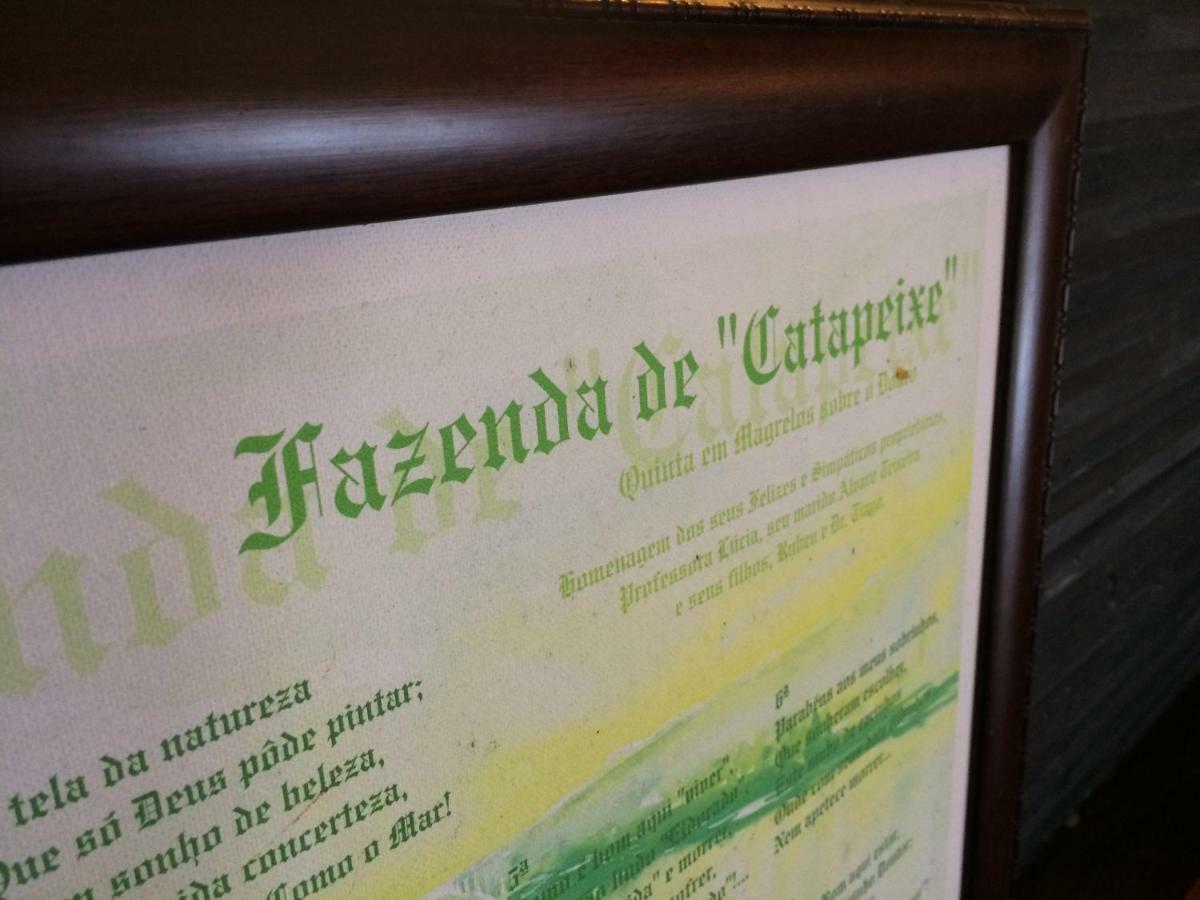 Quinta De Catapeixe Douro River Magrelos エクステリア 写真