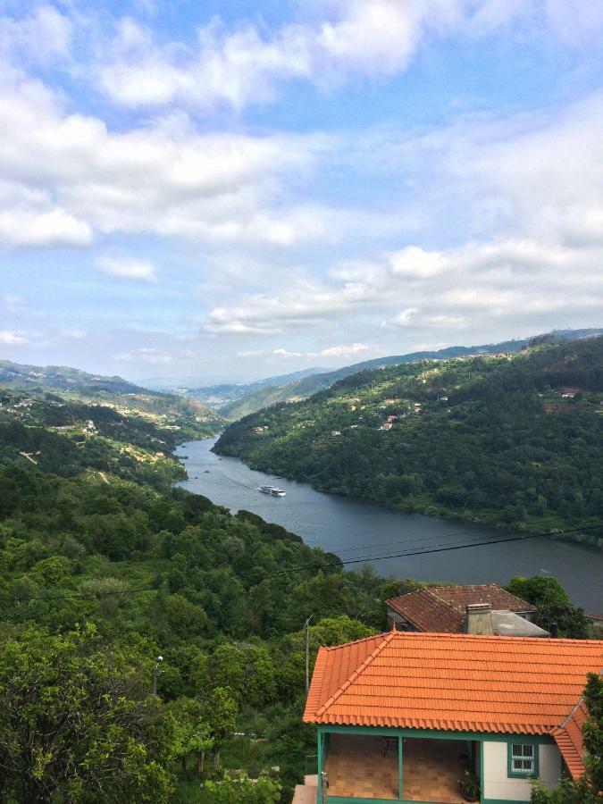 Quinta De Catapeixe Douro River Magrelos エクステリア 写真