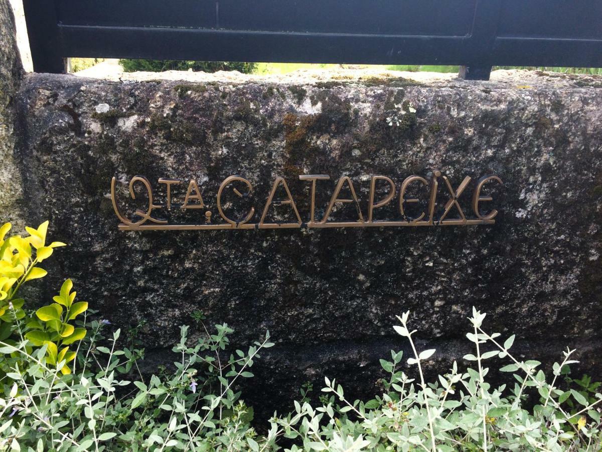 Quinta De Catapeixe Douro River Magrelos エクステリア 写真