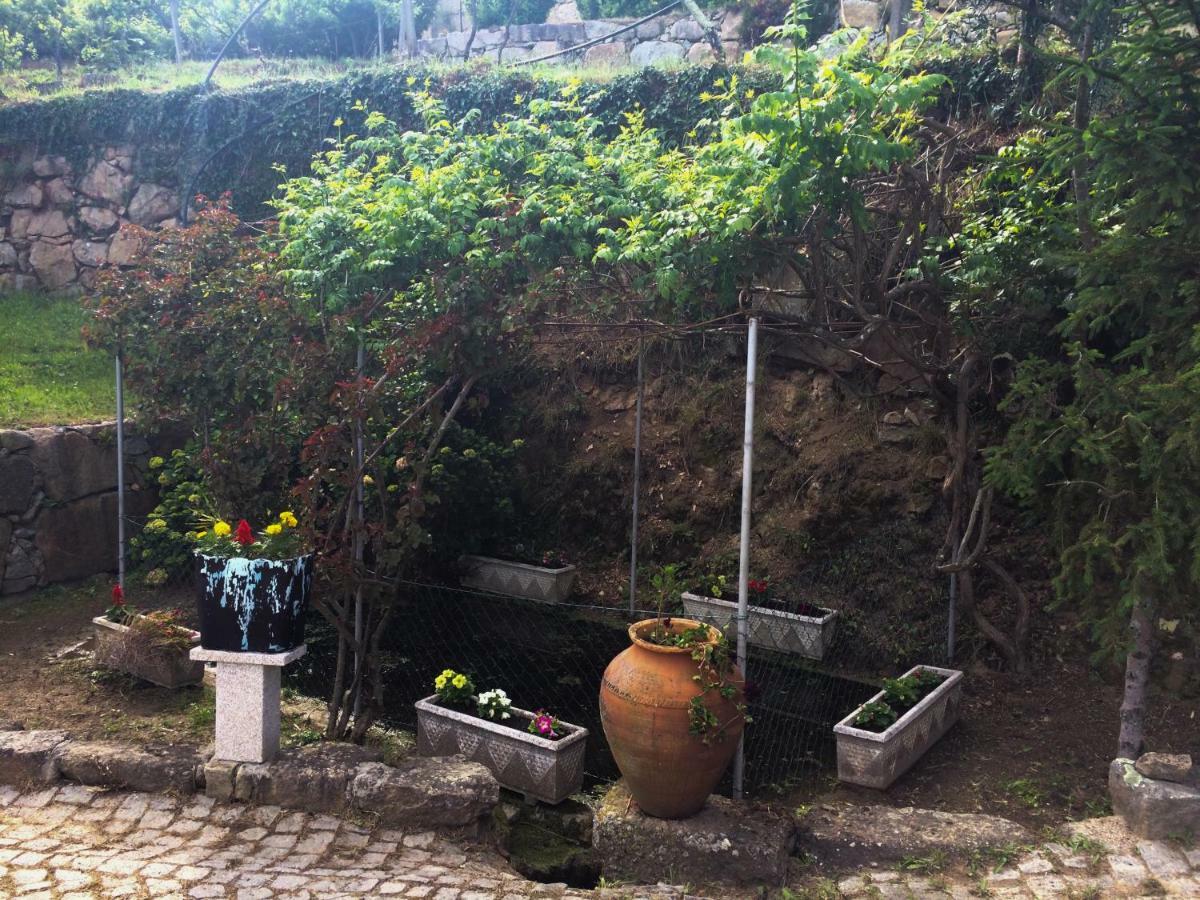 Quinta De Catapeixe Douro River Magrelos エクステリア 写真